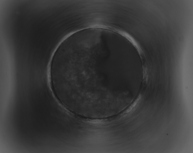 X0000100891048200806241227