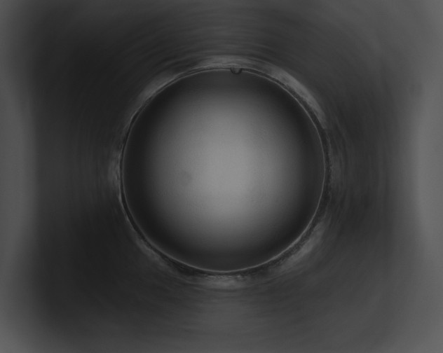 X0000100891049200806241227