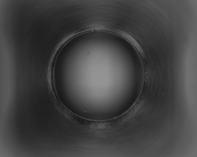 X0000100891051200806241227