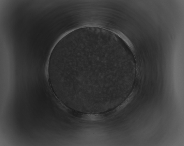 X0000100891052200806241227