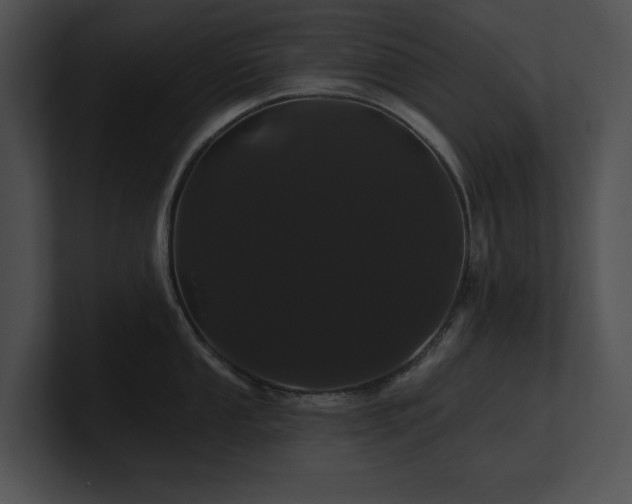 X0000100891053200806241227