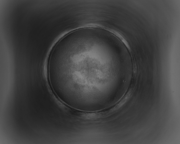 X0000100891054200806241227