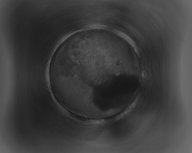 X0000100891055200806241227