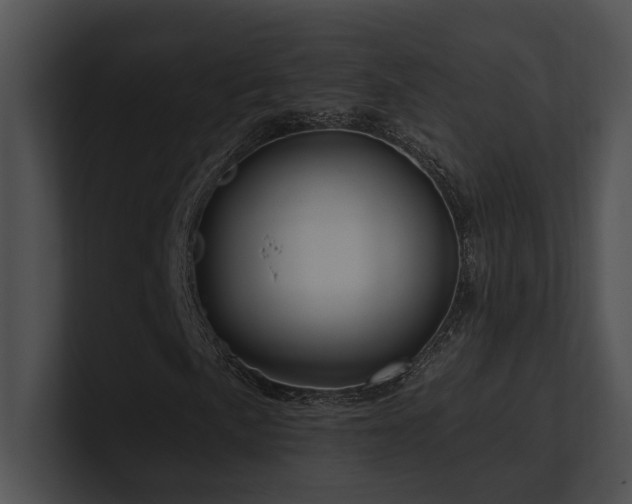 X0000100891057200806241227