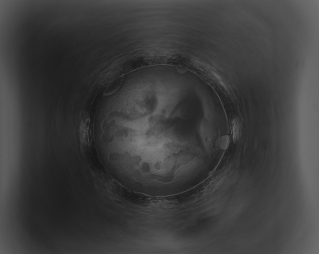 X0000100891059200806241227
