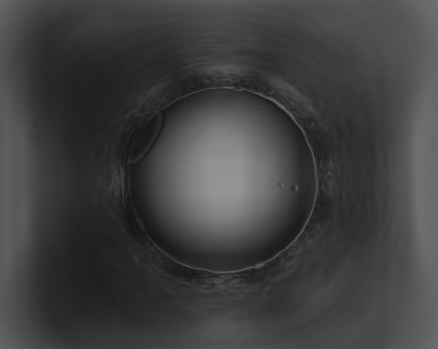 X0000100891061200806241227