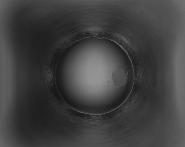 X0000100891062200806241227