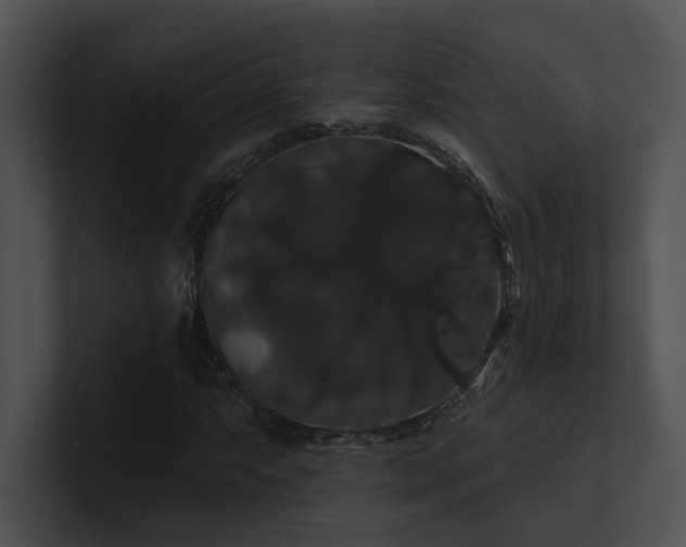 X0000100891063200806241227