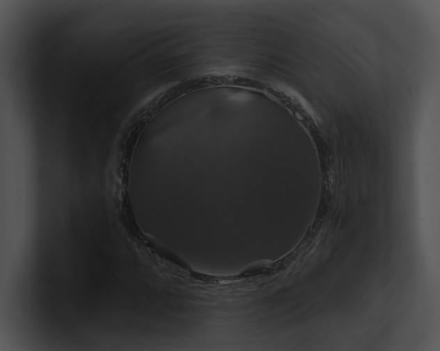 X0000100891064200806241227