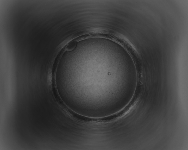 X0000100891065200806241227
