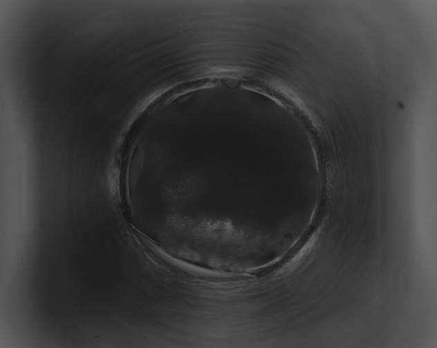X0000100891066200806241227