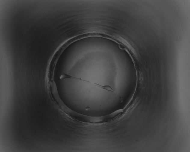 X0000100891068200806241227