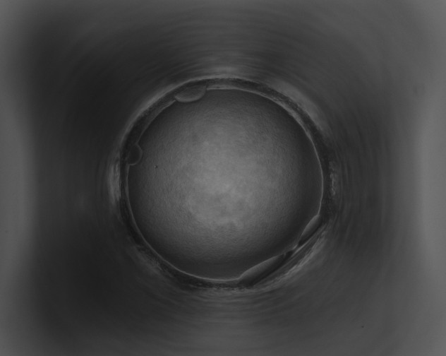 X0000100891069200806241227