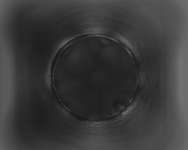 X0000100891071200806241227