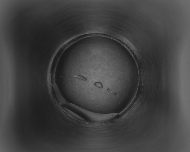 X0000100891072200806241227