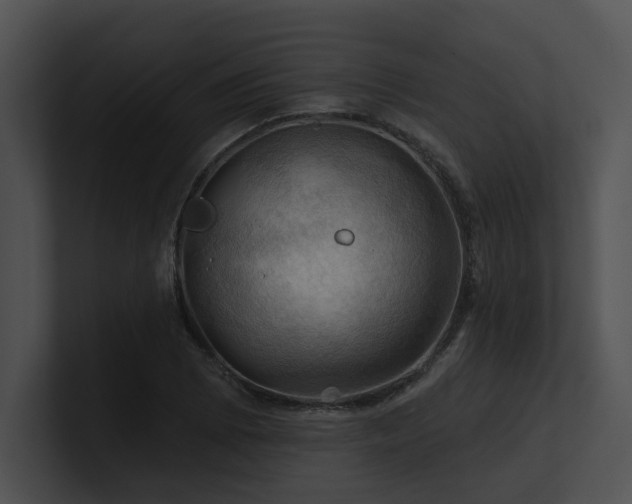 X0000100891073200806241226