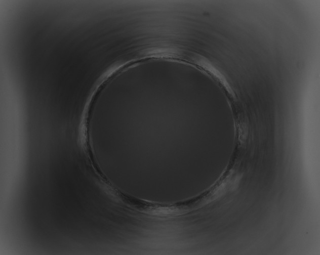 X0000100891074200806241226