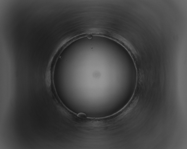 X0000100891075200806241226