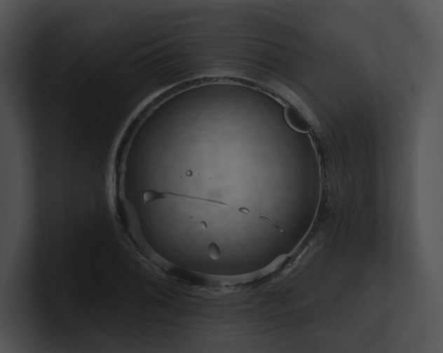 X0000100891076200806241226