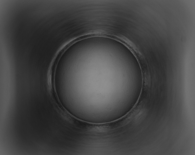 X0000100891078200806241226