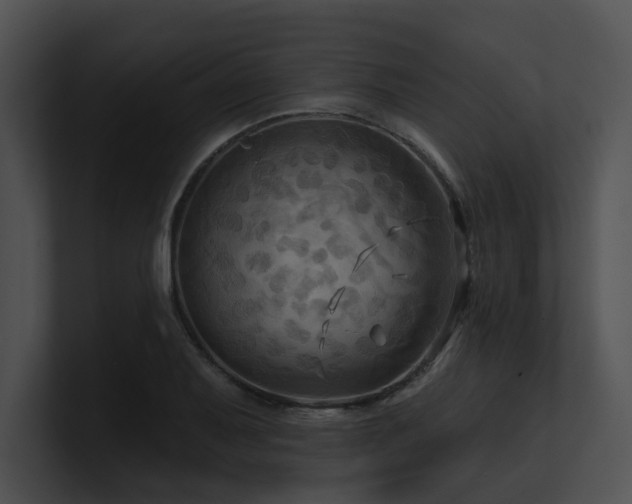 X0000100891079200806241226