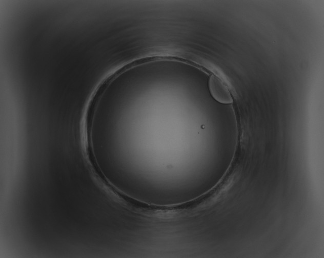 X0000100891080200806241226
