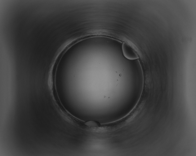 X0000100891082200806241226