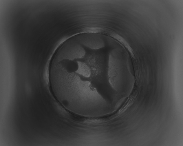 X0000100891083200806241226