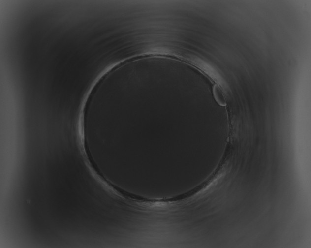 X0000100891084200806241226