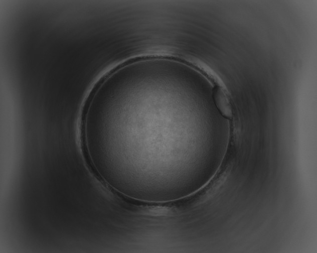 X0000100891085200806241226