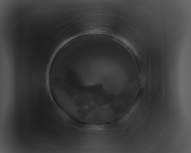 X0000100891086200806241226