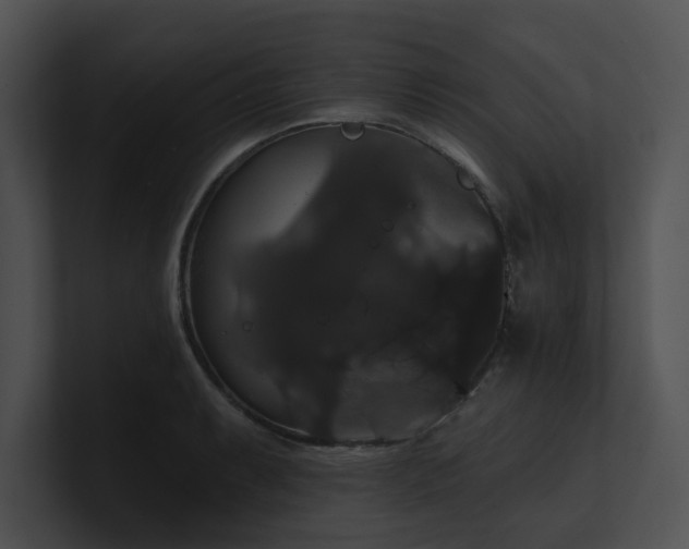 X0000100891087200806241226