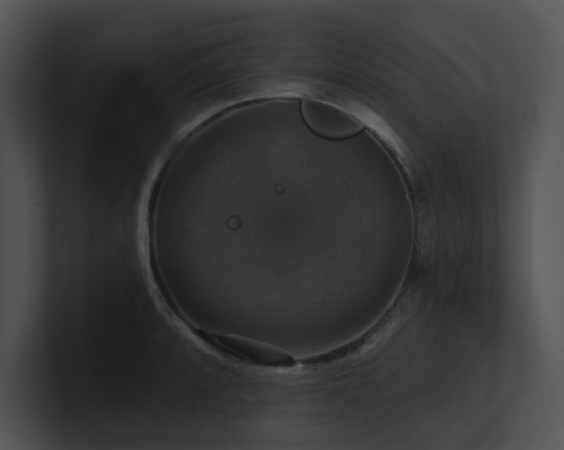 X0000100891088200806241226