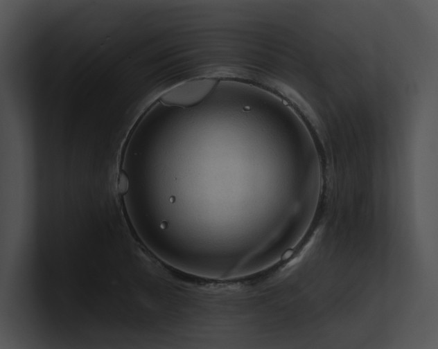 X0000100891089200806241226
