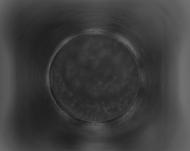 X0000100891090200806241226