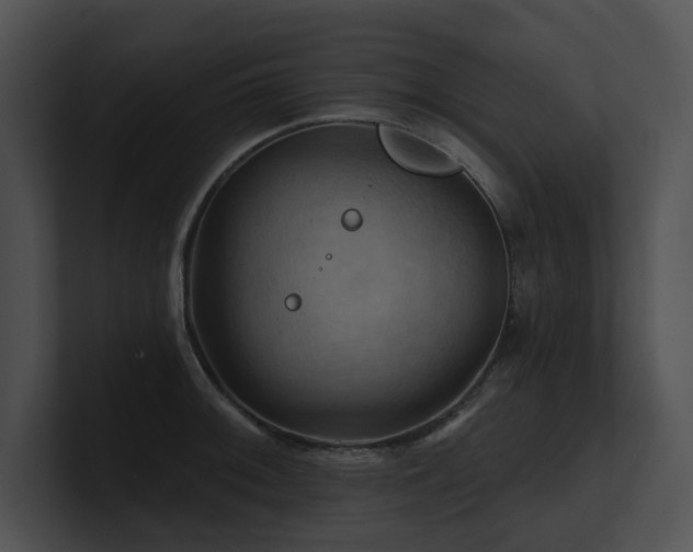 X0000100891092200806241226