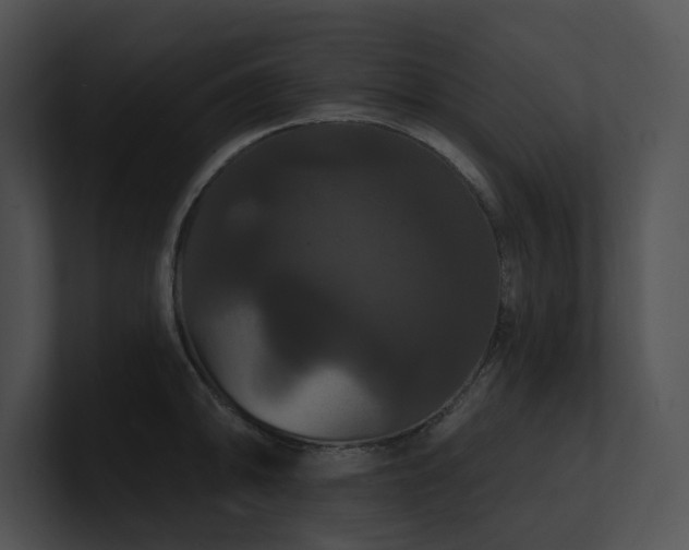 X0000100891094200806241226