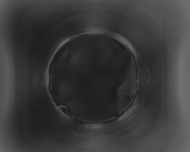 X0000100891095200806241226