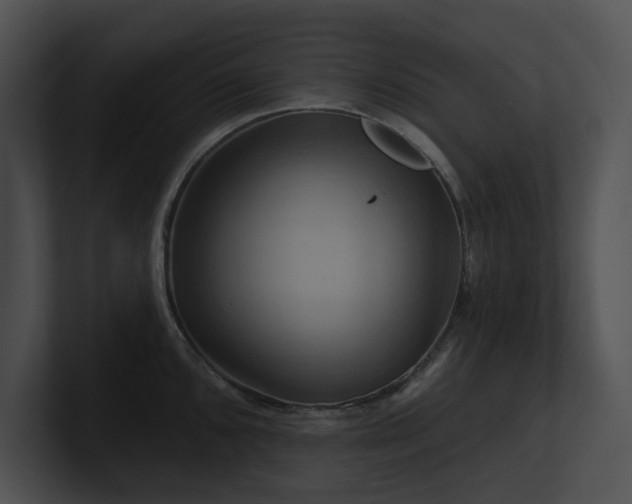 X0000100891096200806241226