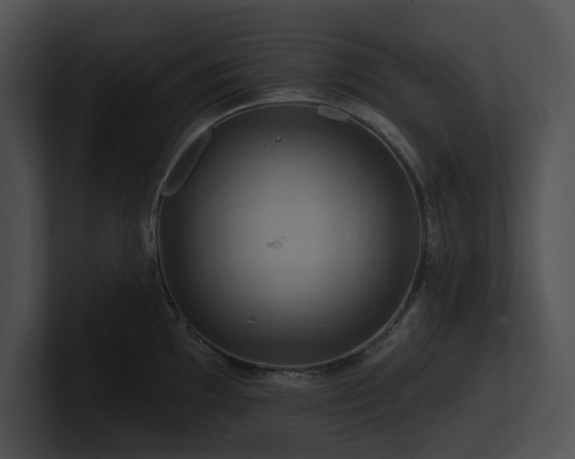X0000100891097200806241226