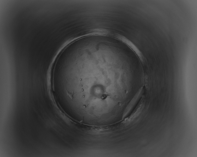 X0000100891099200806241226