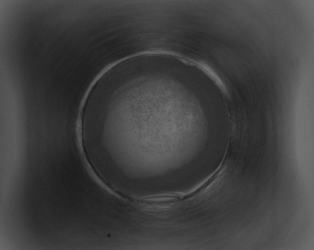 X0000100891100200806241226