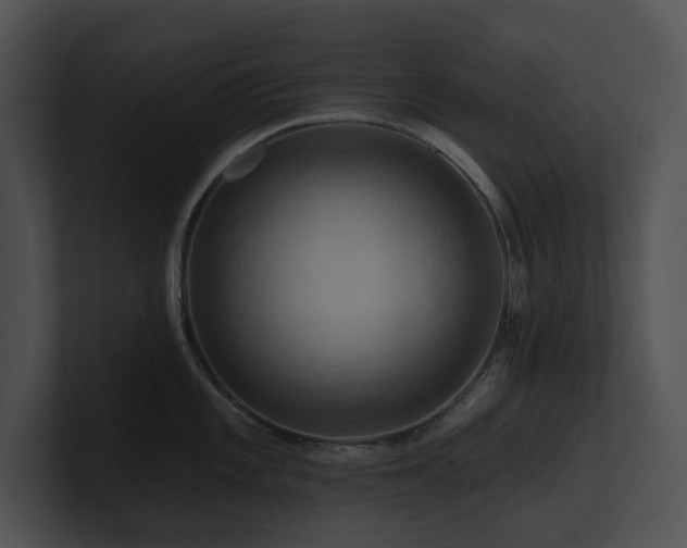 X0000100891101200806241226