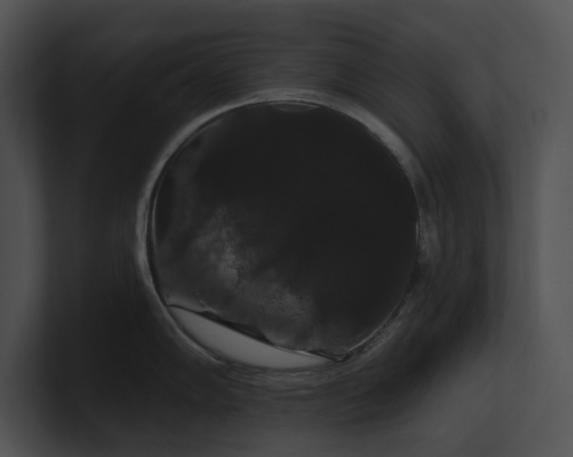 X0000100891102200806241226