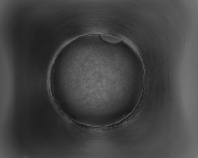 X0000100891104200806241226
