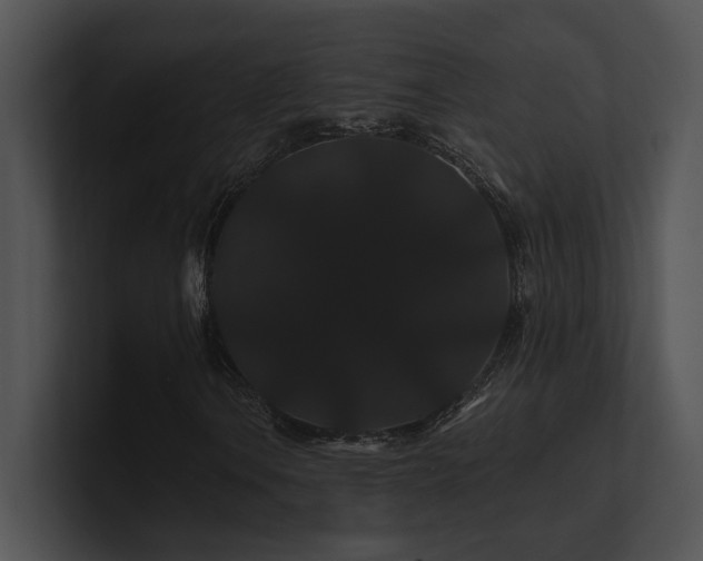 X0000100891106200806241225