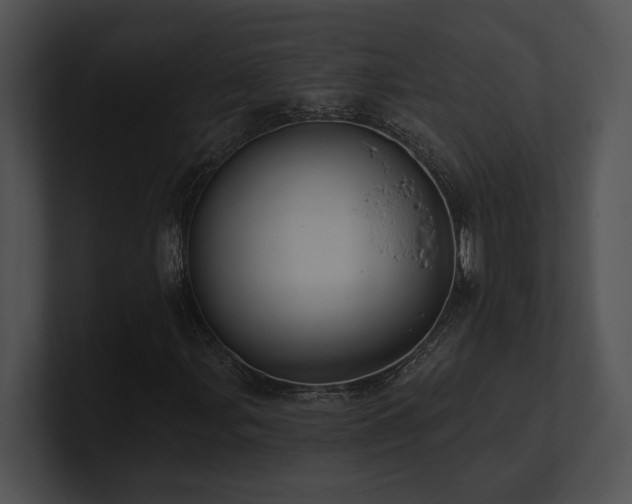 X0000100891107200806241225