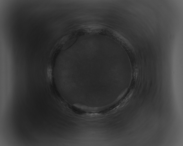 X0000100891108200806241225