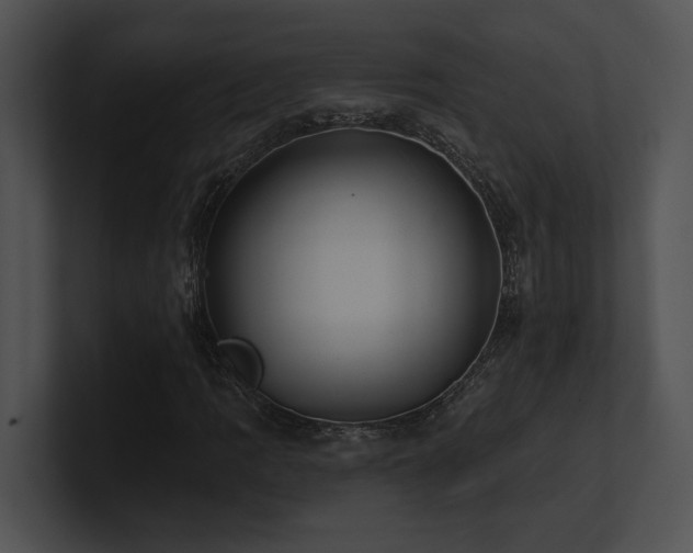 X0000100891109200806241225