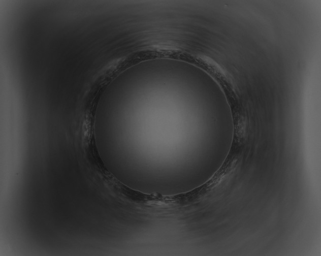 X0000100891110200806241226